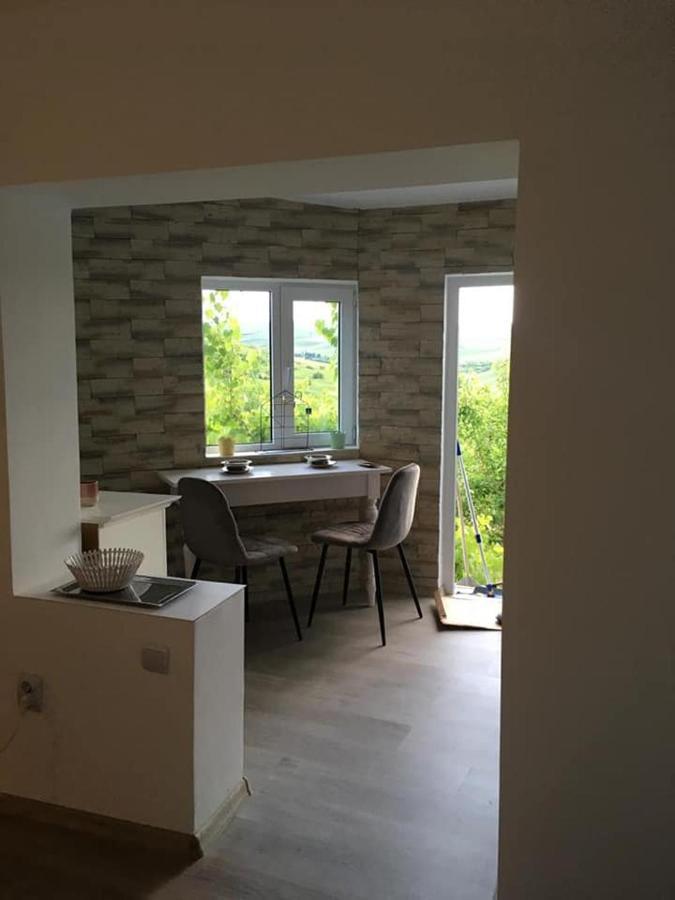Casa Anca 호텔 Cojocna 외부 사진